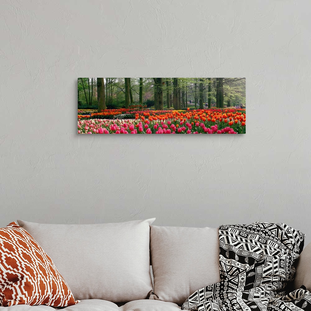A bohemian room featuring Panoramic photograph of tulips with landscaped trees in the background.