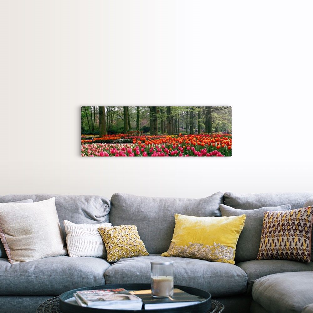 A farmhouse room featuring Panoramic photograph of tulips with landscaped trees in the background.