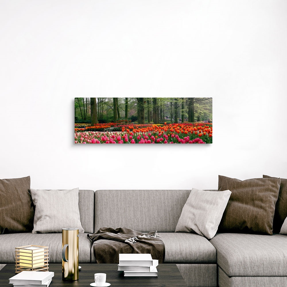 A traditional room featuring Panoramic photograph of tulips with landscaped trees in the background.
