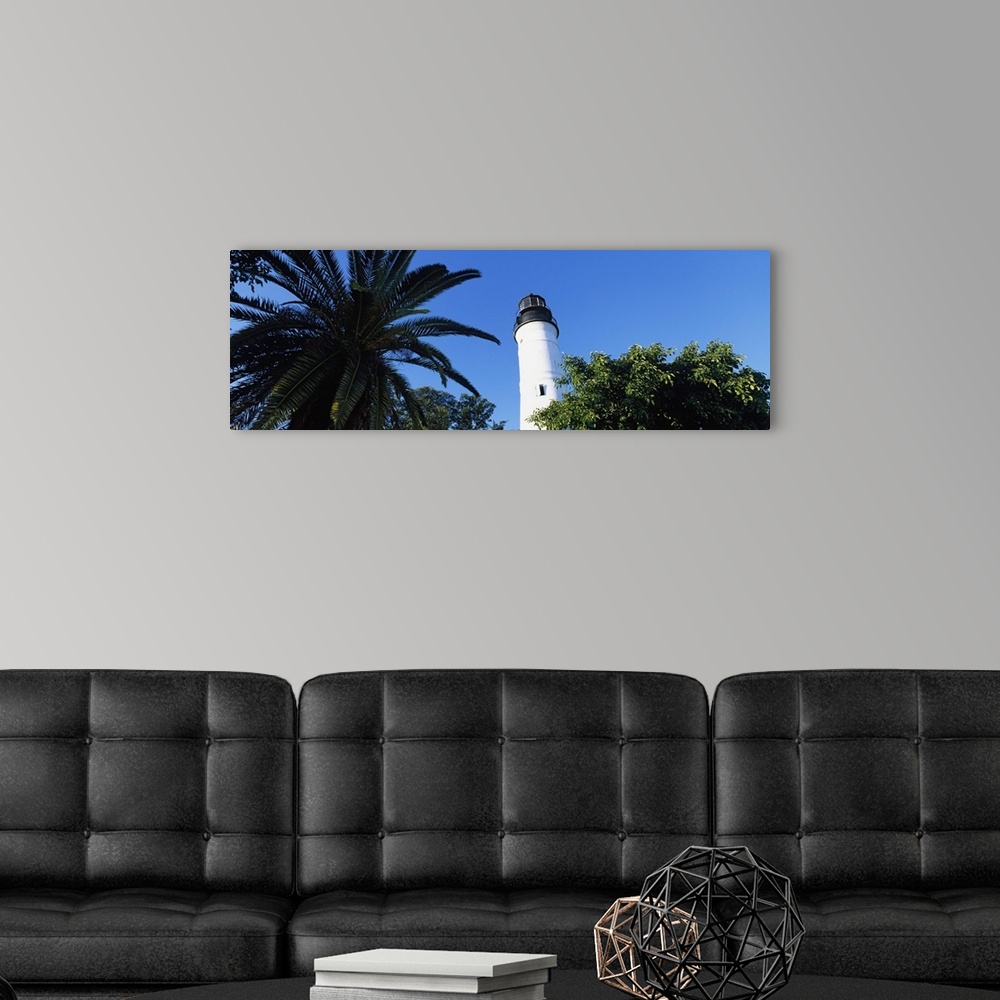 A modern room featuring Landscape, low angle photograph of  a lighthouse surrounded by tree tops, against a clear blue sk...