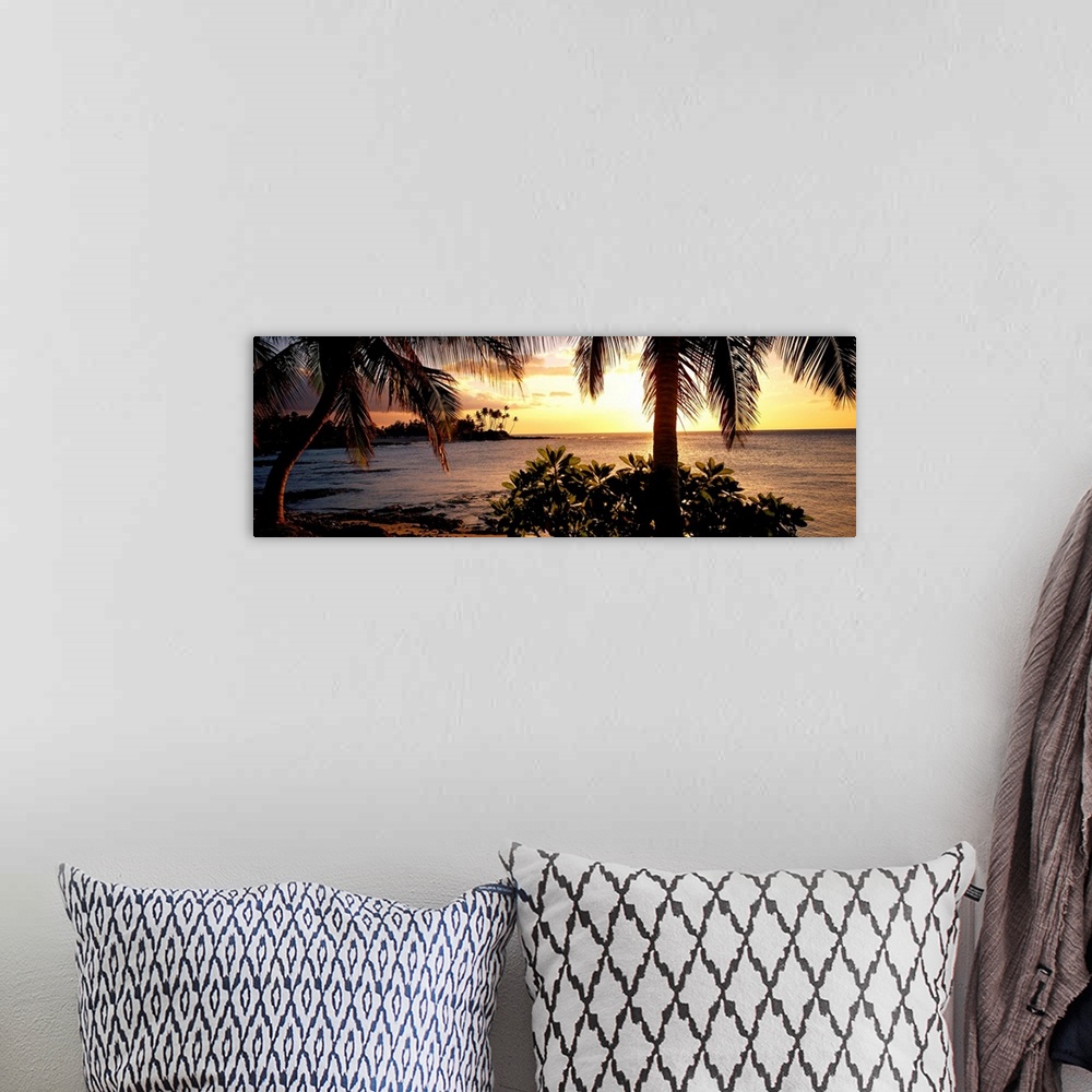 A bohemian room featuring Panoramic wall art photo for the office or home of the Hawaiian coast; palm trees grow along the ...
