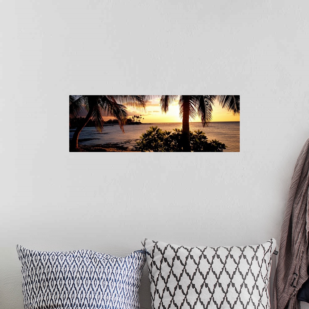 A bohemian room featuring Panoramic wall art photo for the office or home of the Hawaiian coast; palm trees grow along the ...
