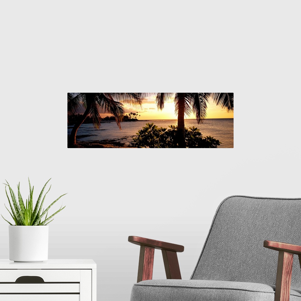 A modern room featuring Panoramic wall art photo for the office or home of the Hawaiian coast; palm trees grow along the ...