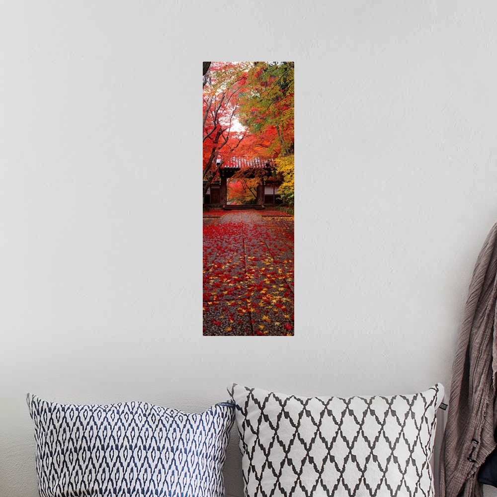 A bohemian room featuring A vertical panoramic piece of a Japanese temple with red and yellow leaves covering the ground le...
