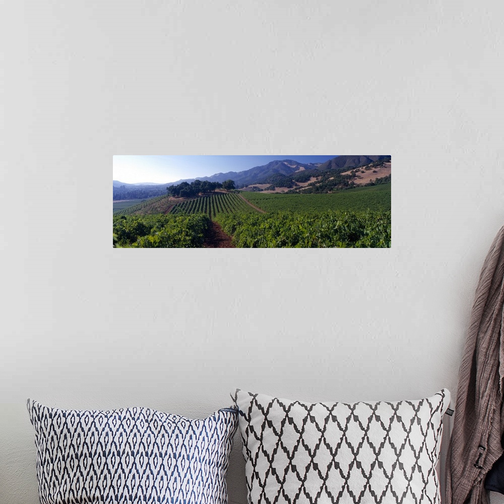 A bohemian room featuring Long canvas of a vineyard with rolling hills in the distance.