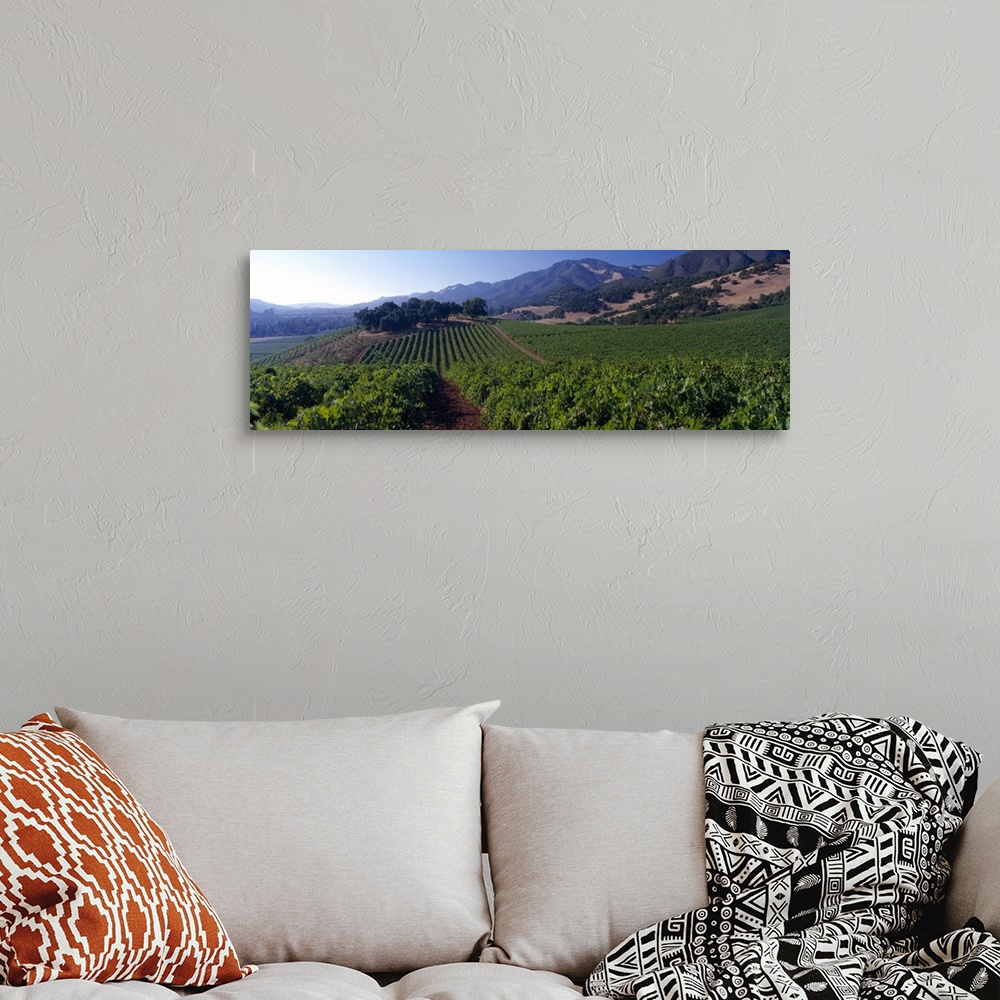 A bohemian room featuring Long canvas of a vineyard with rolling hills in the distance.