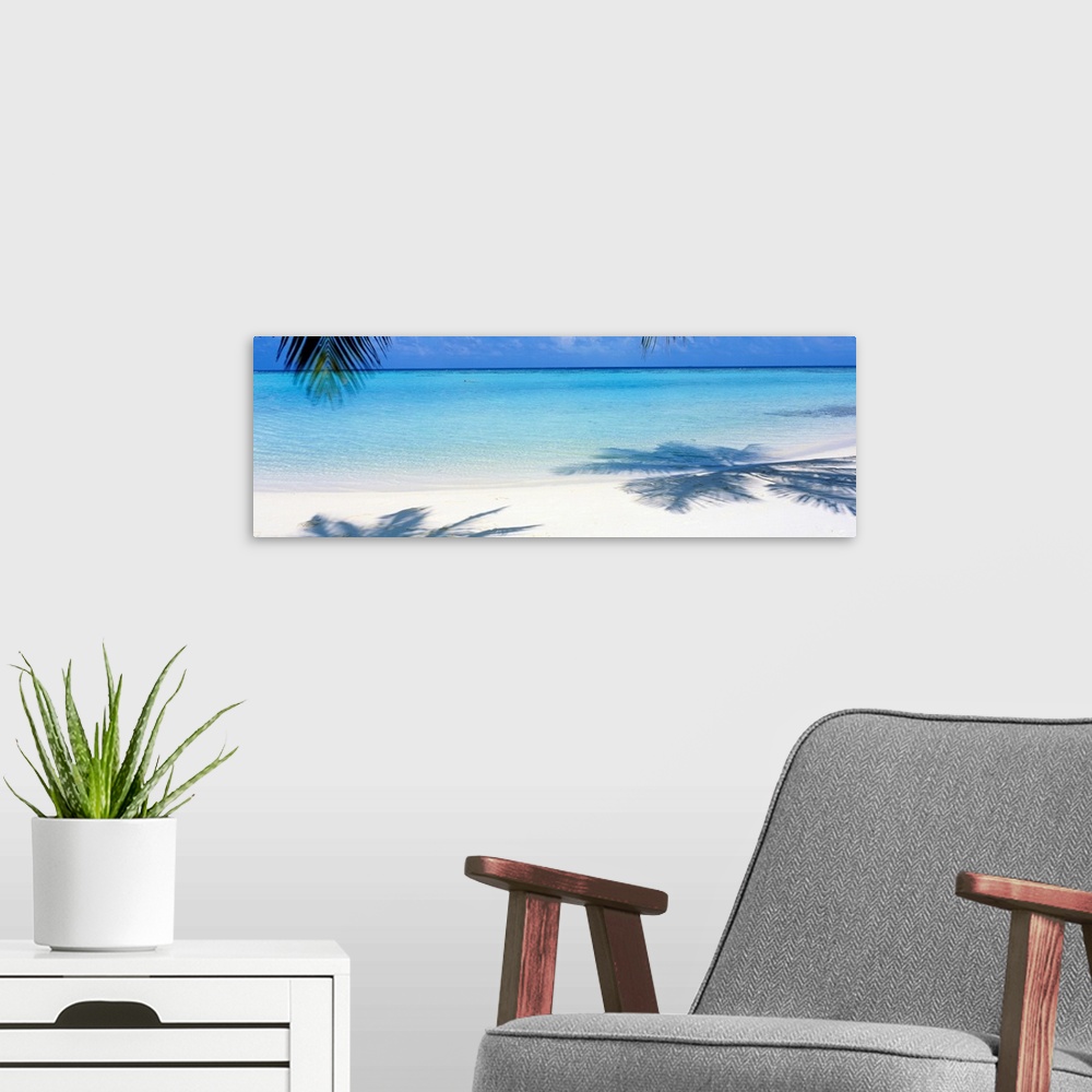 A modern room featuring Panoramic landscape photograph of a tropical beach with palm trees casting shadows in the sand.