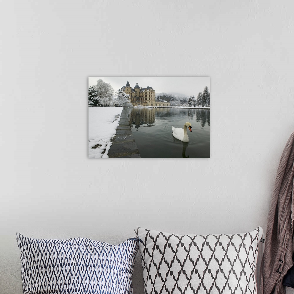 A bohemian room featuring A mute swan swims in a pond in the winter near a large historic building in Europe, covered in snow.