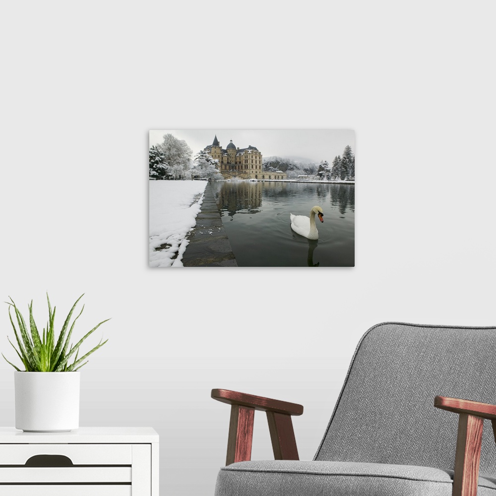A modern room featuring A mute swan swims in a pond in the winter near a large historic building in Europe, covered in snow.