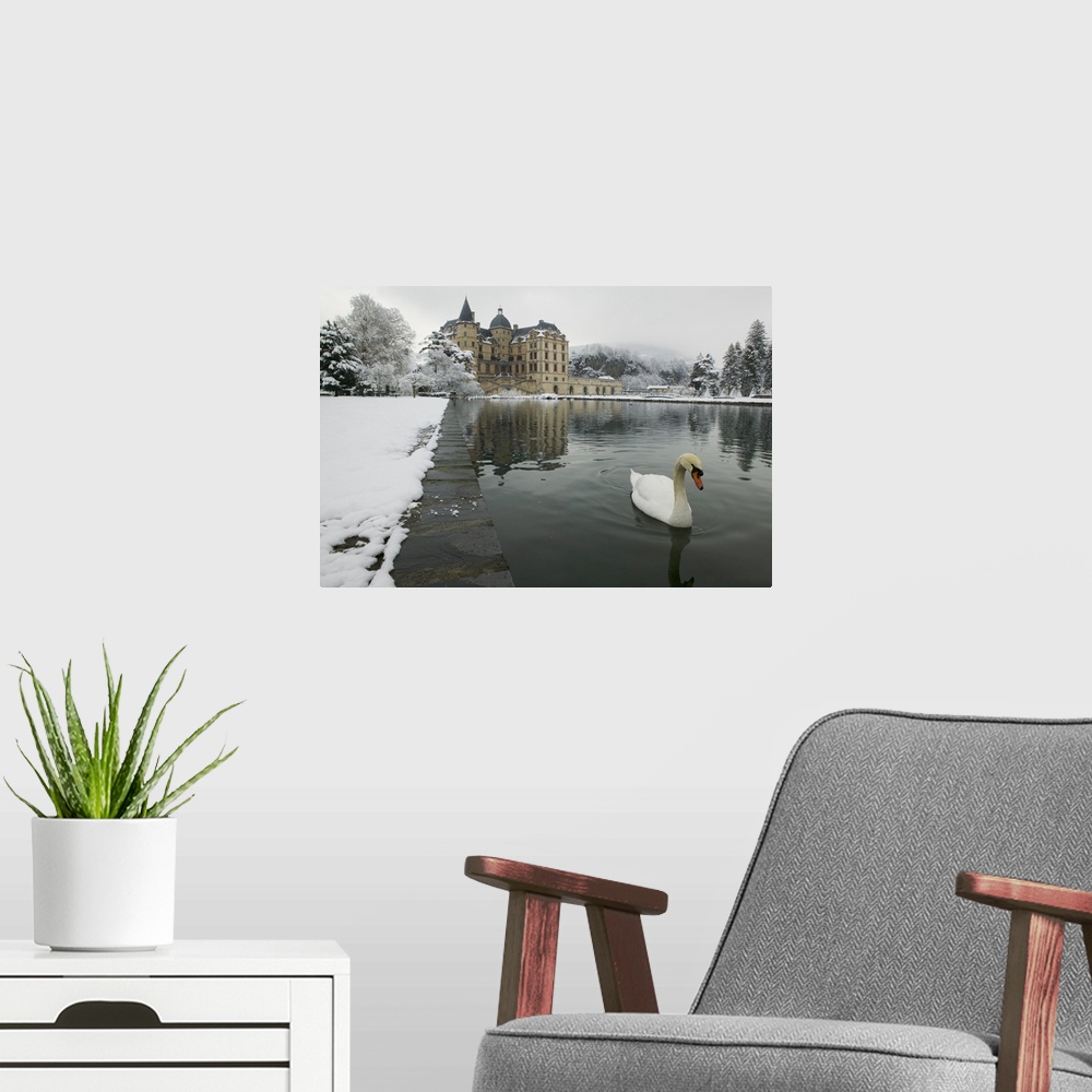 A modern room featuring A mute swan swims in a pond in the winter near a large historic building in Europe, covered in snow.
