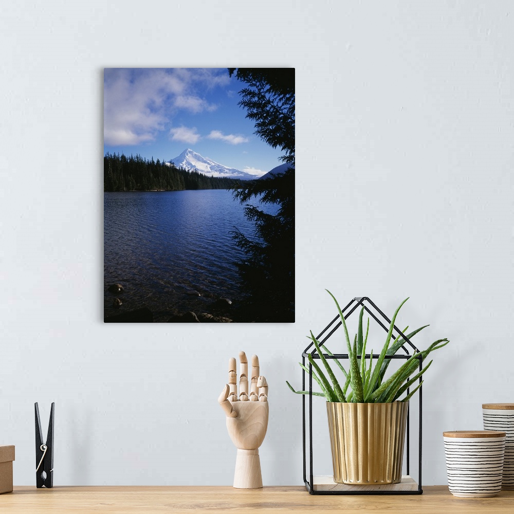 A bohemian room featuring Lake in front of snow covered mountain, Mt Hood, Lost Lake, Oregon