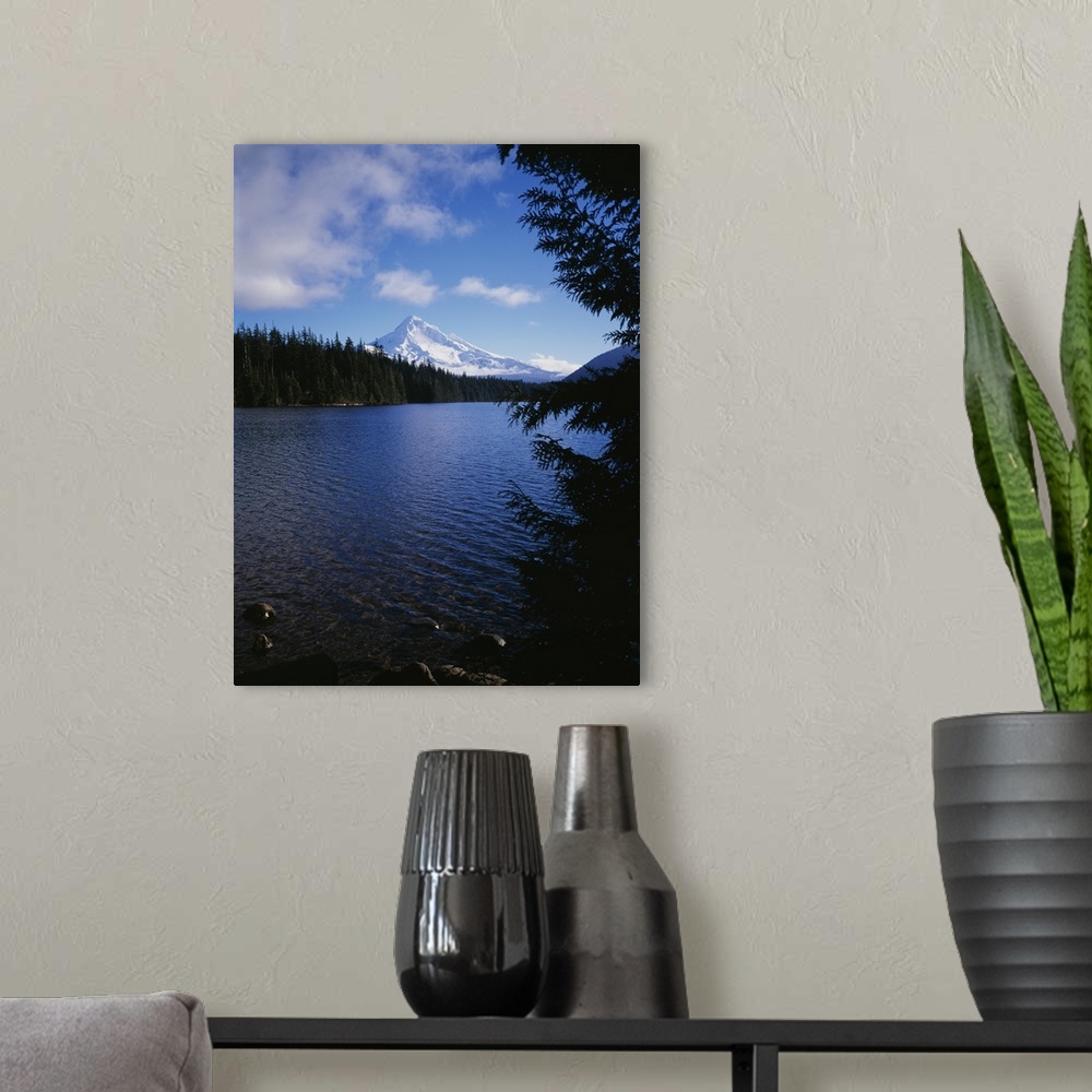 A modern room featuring Lake in front of snow covered mountain, Mt Hood, Lost Lake, Oregon