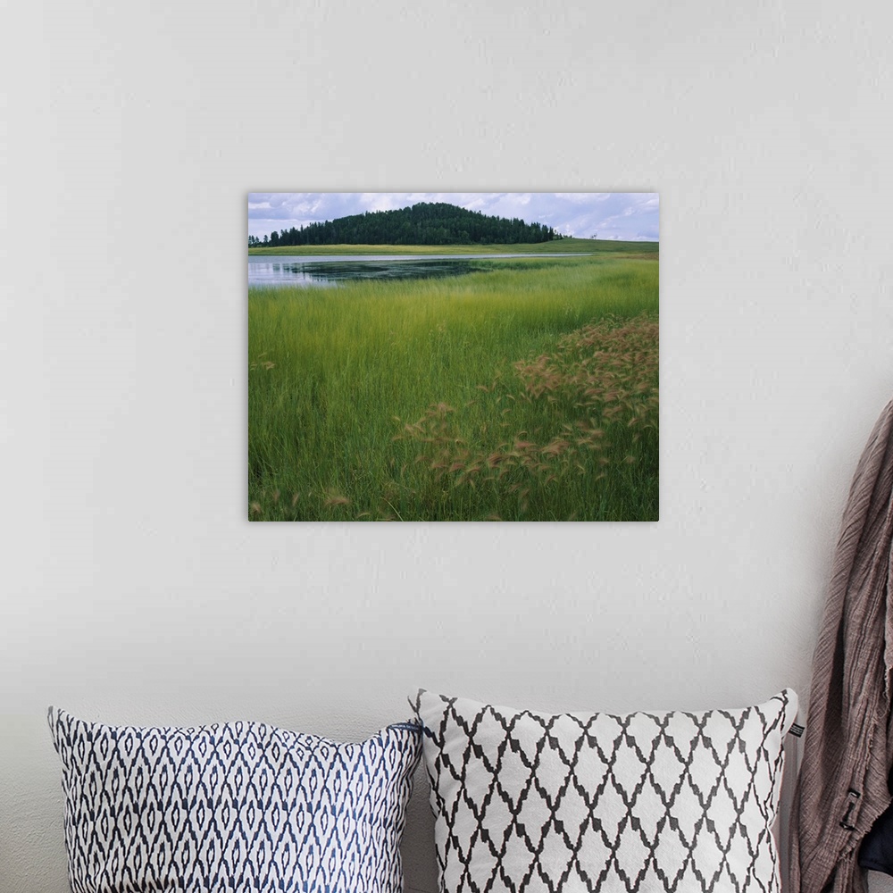 A bohemian room featuring Lake surrounded by grass, Crescent Lake, White Mountains, Apache-Sitgreaves National Forest, Apac...
