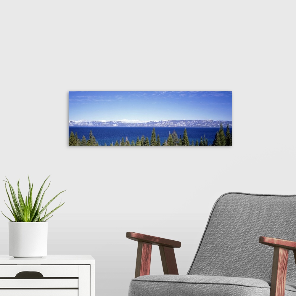 A modern room featuring Giant, panoramic photograph looking over pine tree tops, onto the blue waters of Lake Tahoe in Ca...
