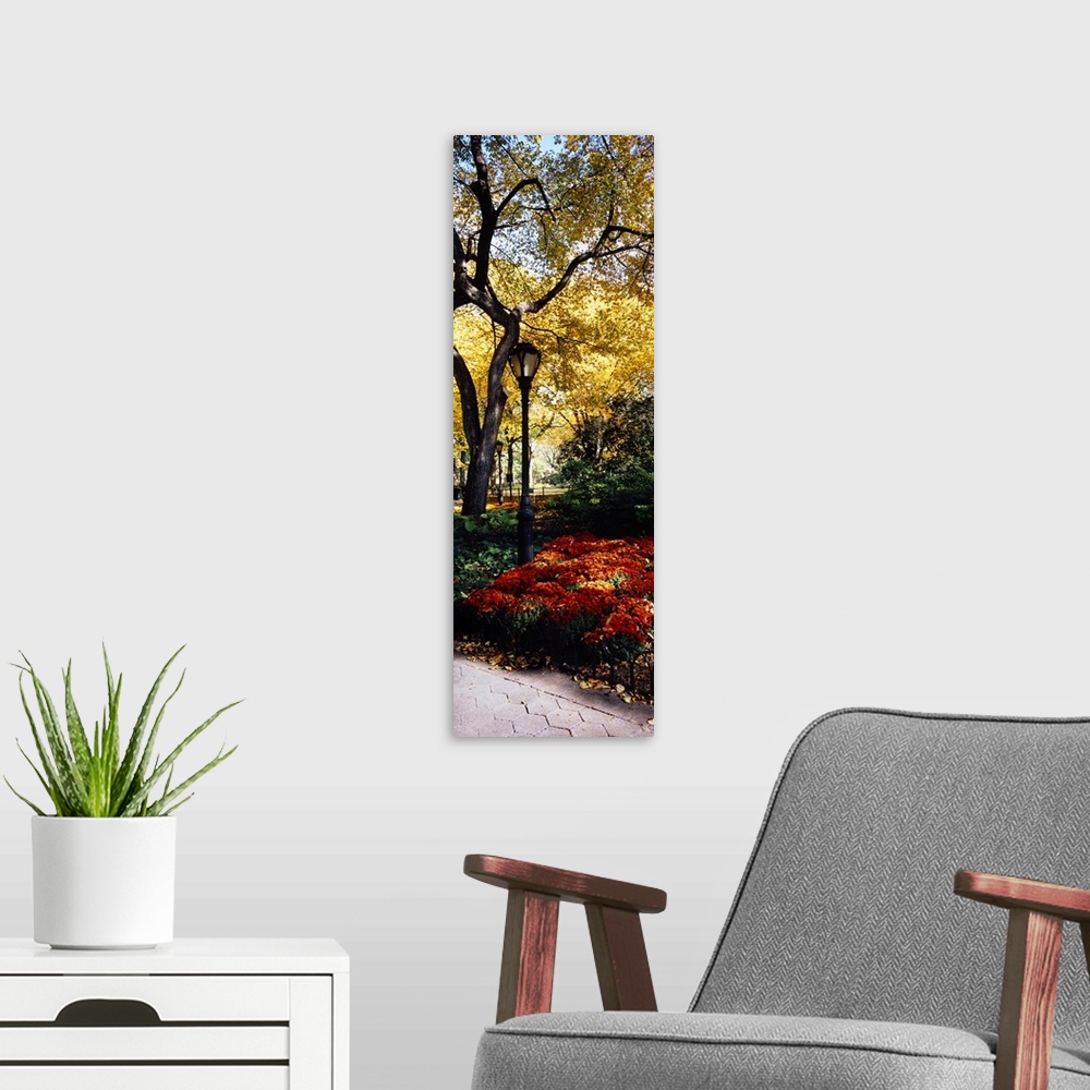 A modern room featuring Large vertical panoramic photograph of a single lamppost surrounded by flowers and trees in Centr...