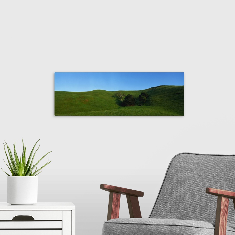 A modern room featuring Landscape CA