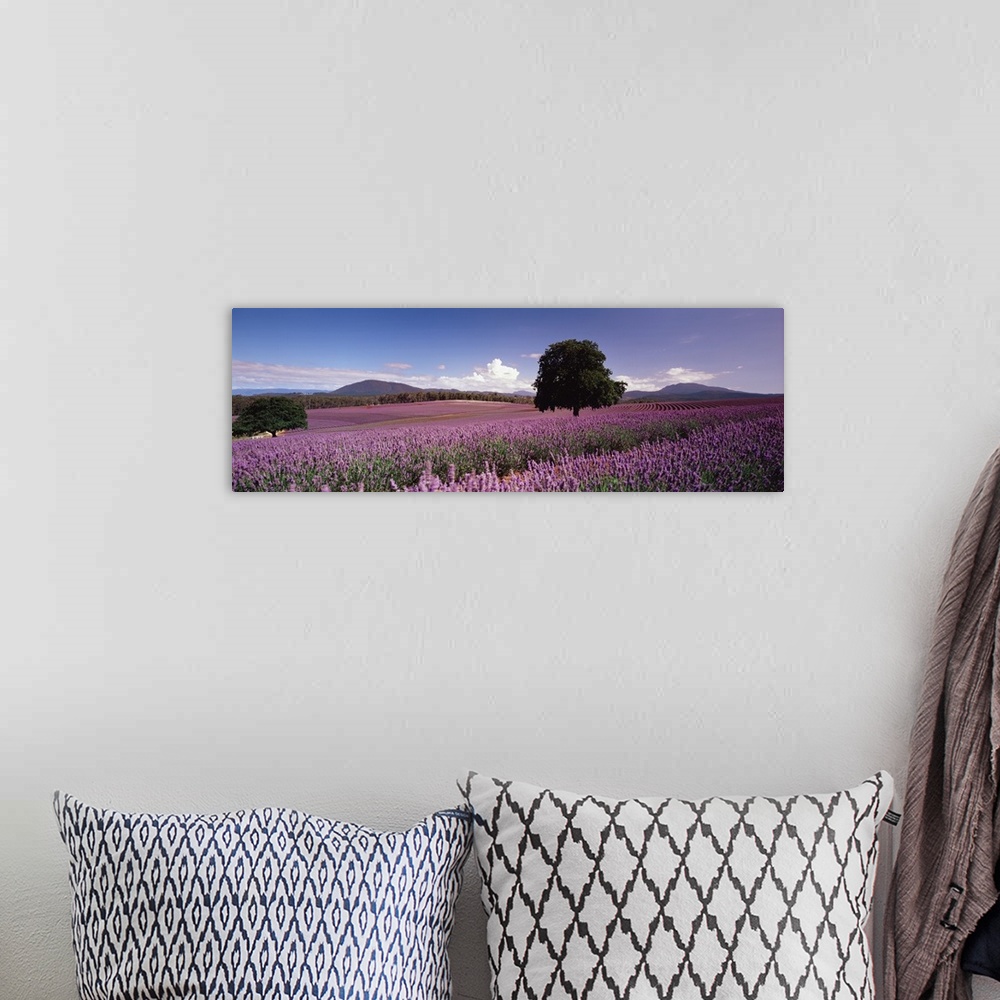 A bohemian room featuring Big panoramic photo on canvas of a field of flowers with a tree in the middle of it and rolling h...
