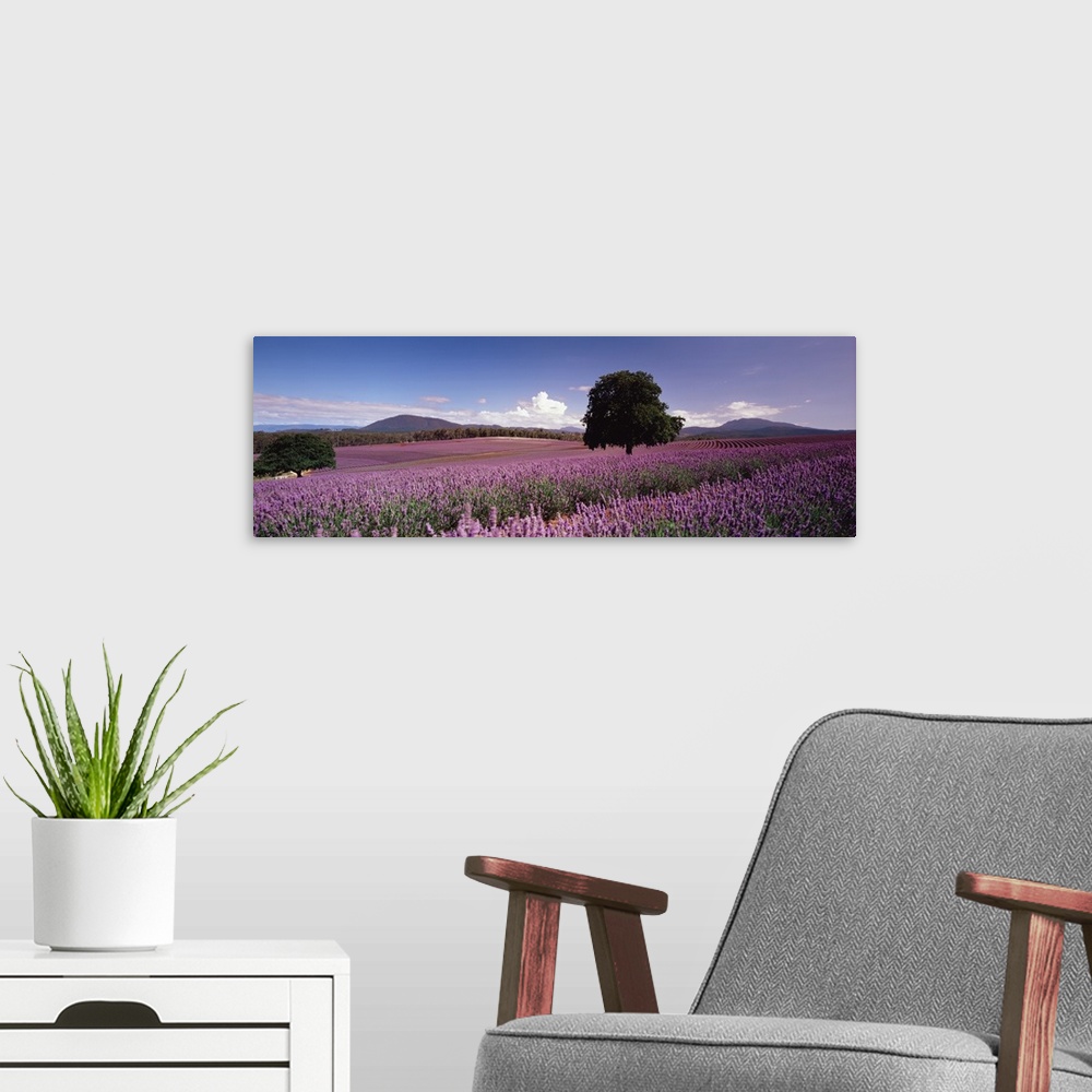 A modern room featuring Big panoramic photo on canvas of a field of flowers with a tree in the middle of it and rolling h...