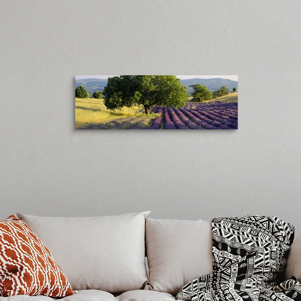 A bohemian room featuring Panoramic photo art of a field of flowers to the right and a field of grass on the left with roll...