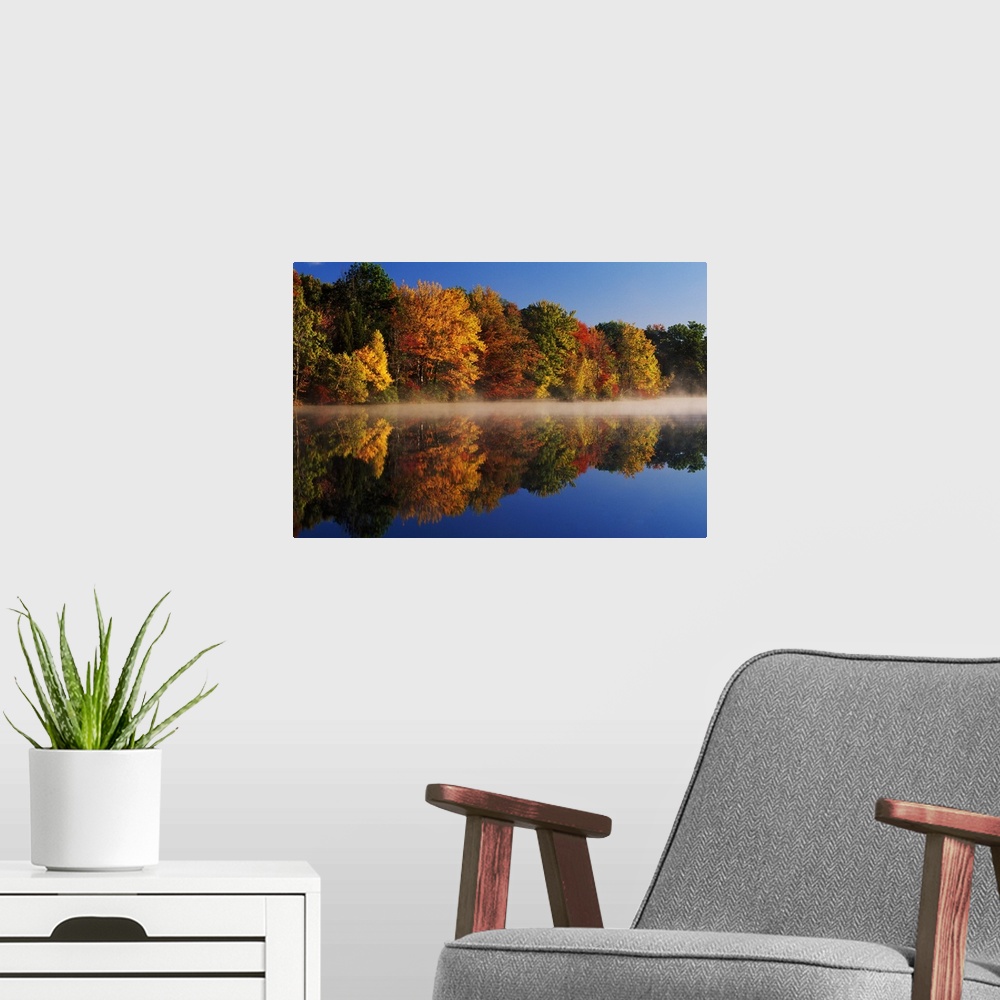 A modern room featuring Large photograph displays a Fall colored tree line reflecting perfectly over a calm body of water...