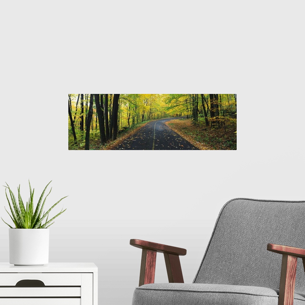 A modern room featuring Horizontal, giant photograph of a curving road covered in fallen leaves, surrounded on both sides...