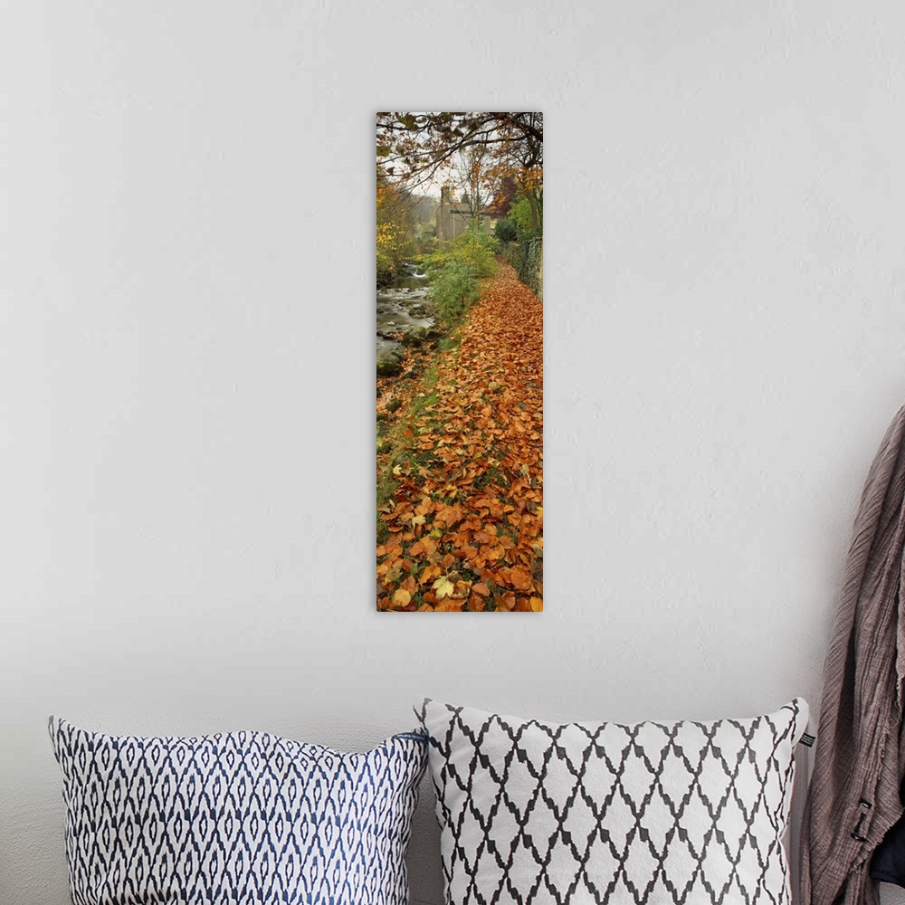 A bohemian room featuring Leaves on the grass in autumn, Sneaton, North Yorkshire, England