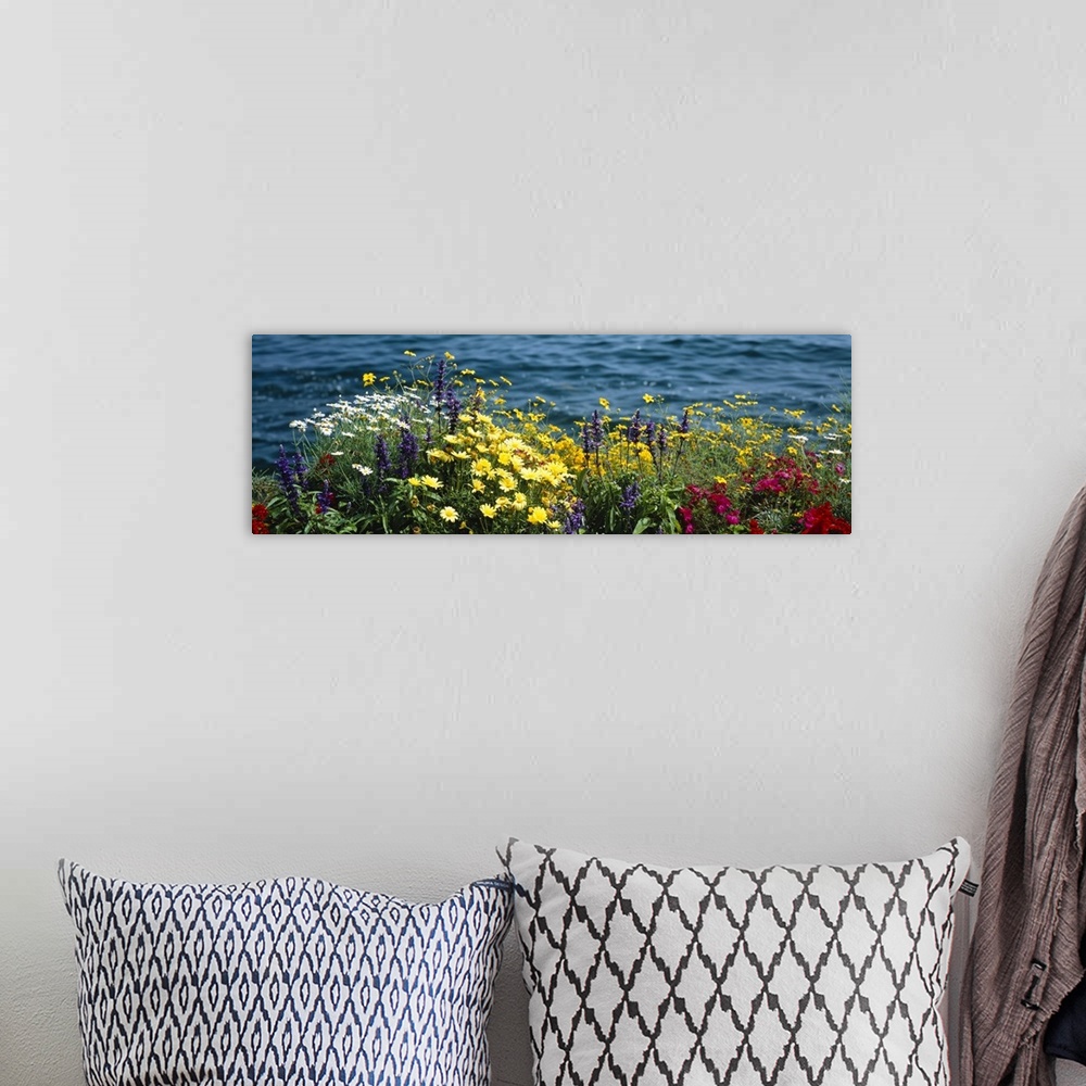 A bohemian room featuring Large horizontal panoramic photograph of blooming flowers beside Leman Lake in Montreux, Switzerl...