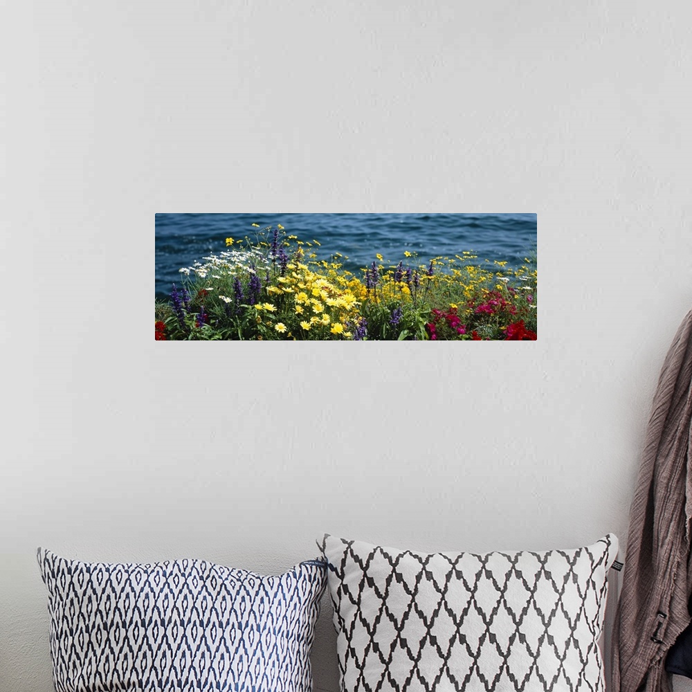 A bohemian room featuring Large horizontal panoramic photograph of blooming flowers beside Leman Lake in Montreux, Switzerl...