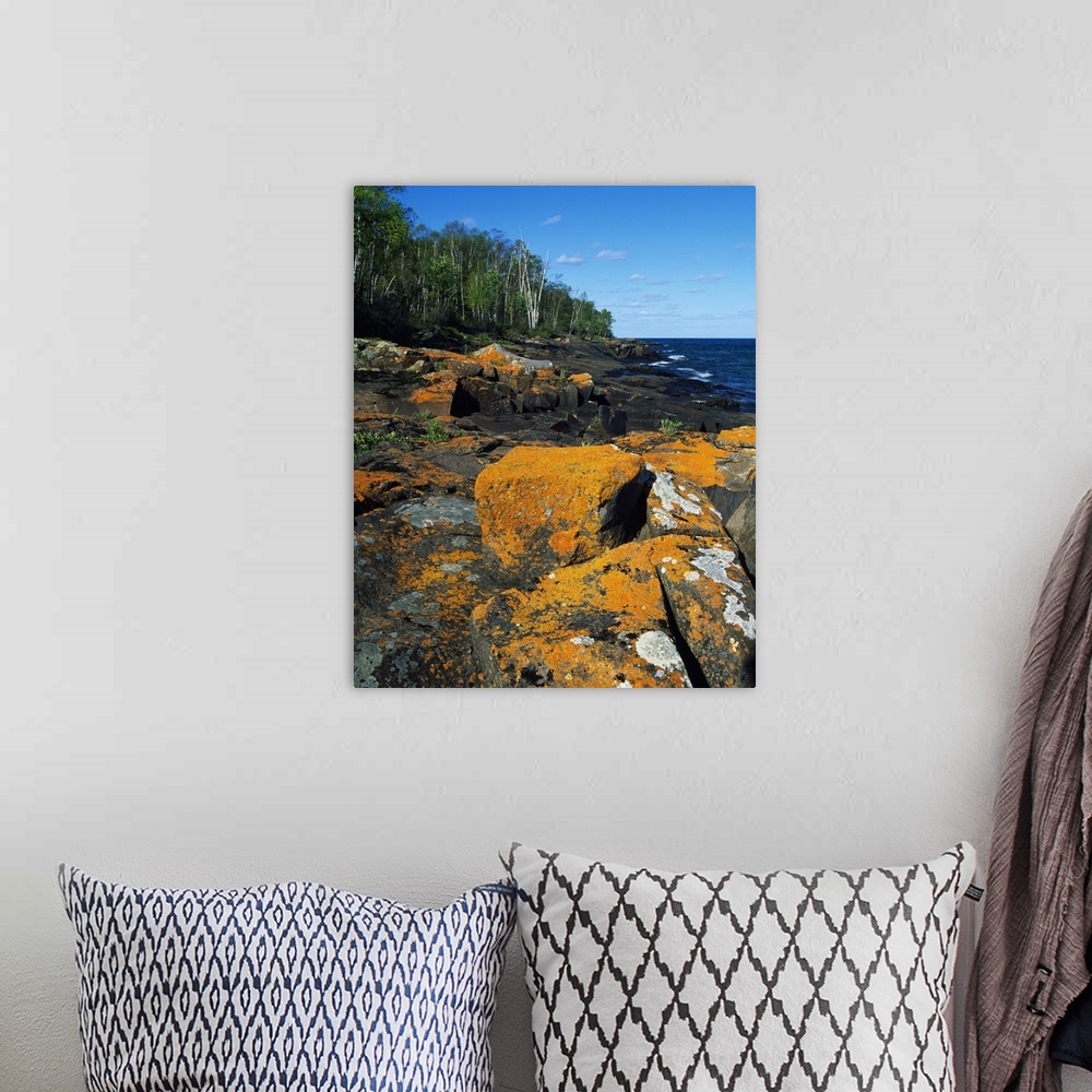 A bohemian room featuring Canvas photo art of big rocks along a shoreline with a forest in the background.