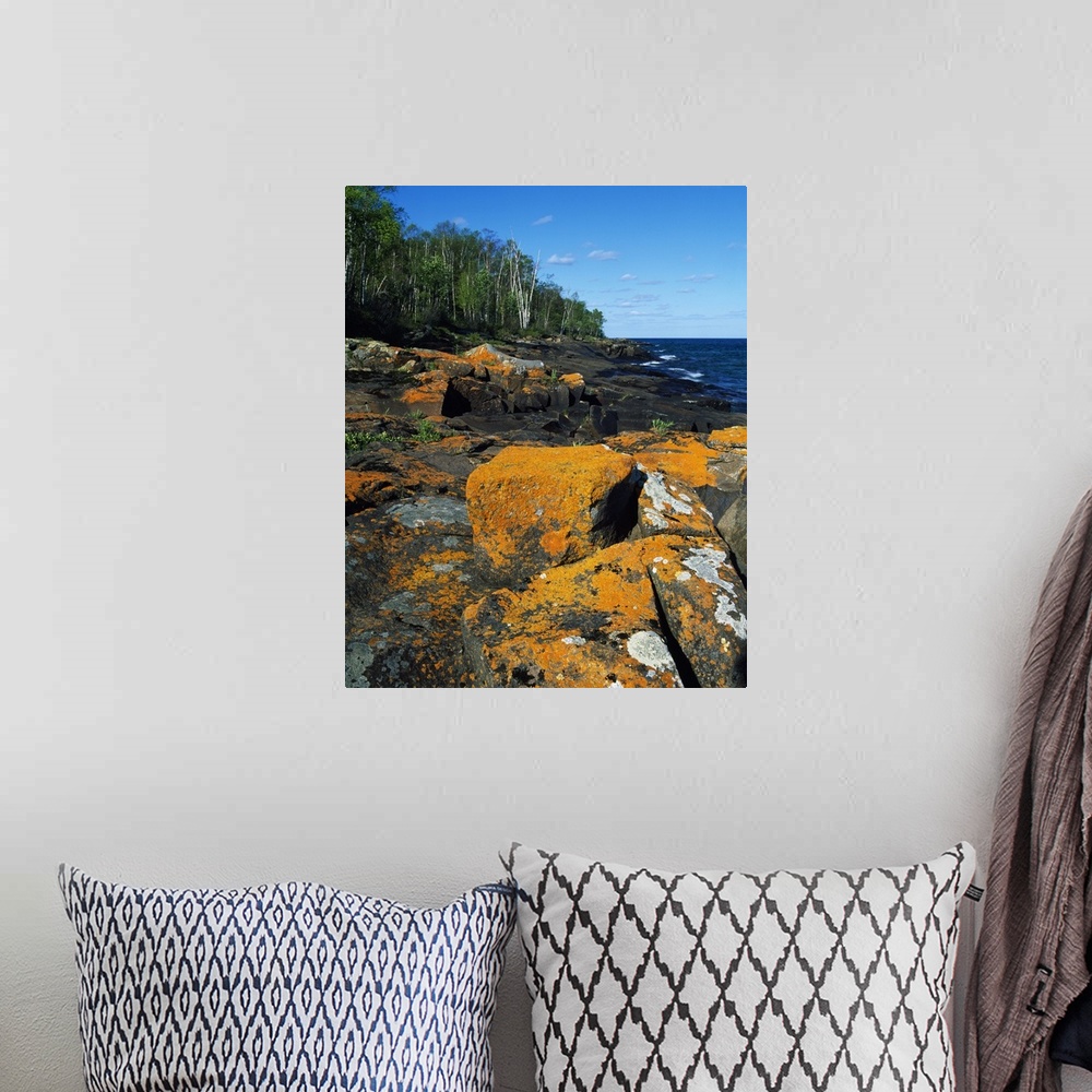 A bohemian room featuring Canvas photo art of big rocks along a shoreline with a forest in the background.