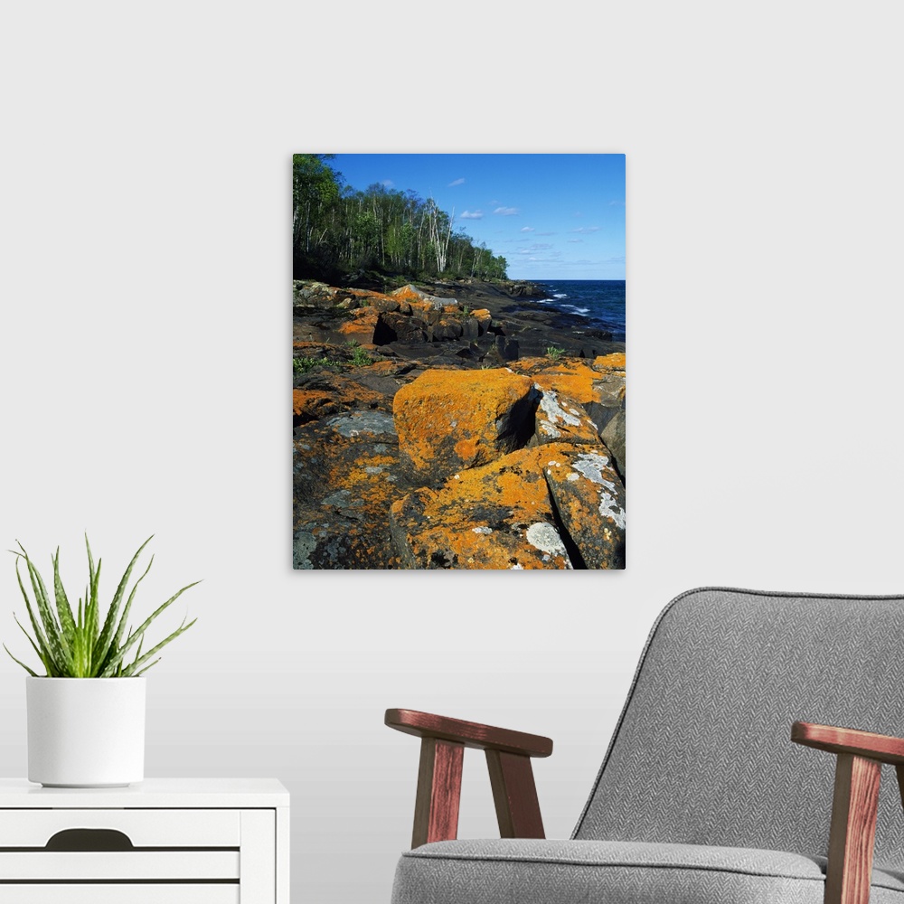A modern room featuring Canvas photo art of big rocks along a shoreline with a forest in the background.