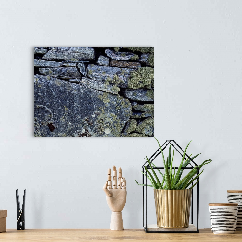A bohemian room featuring Lichen Encrusted Stone Wall