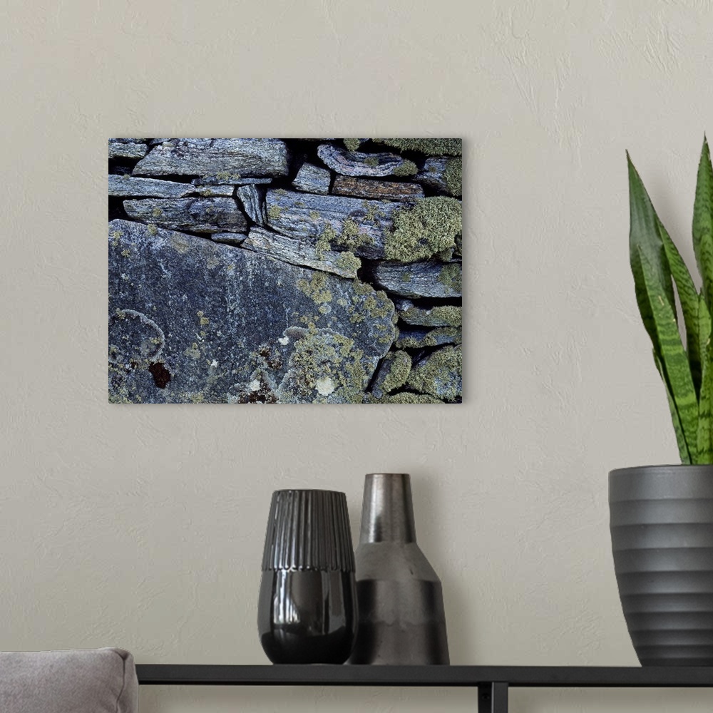 A modern room featuring Lichen Encrusted Stone Wall