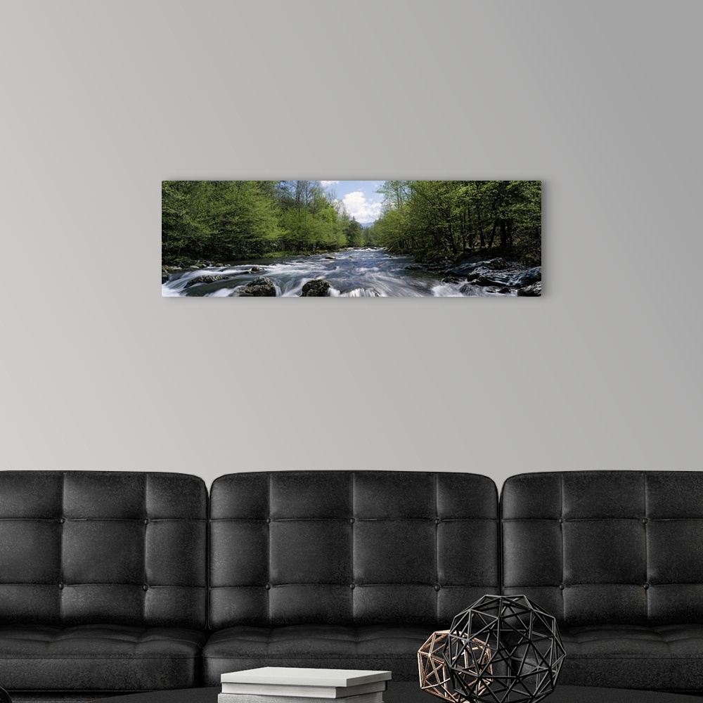 A modern room featuring A river filled with boulders and rapids rushes through the forest in this panoramic photograph fo...