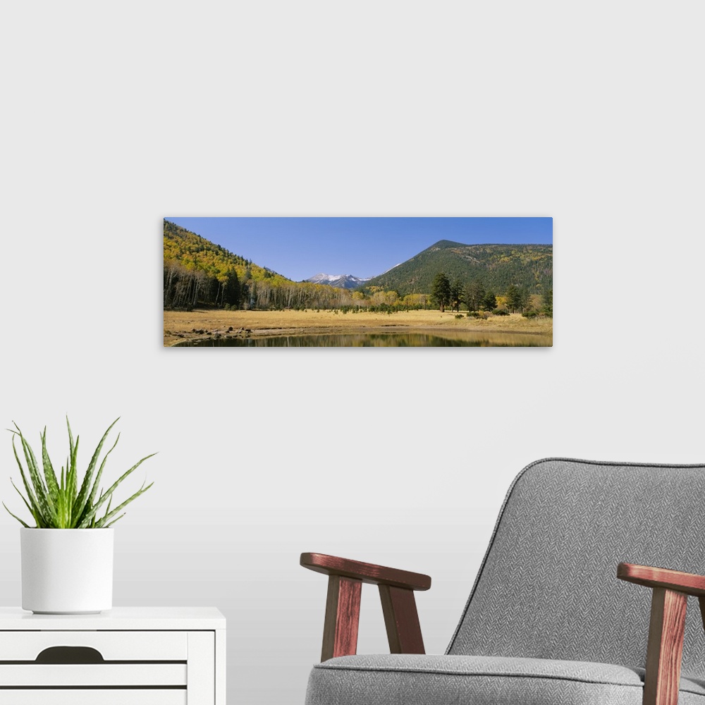 A modern room featuring Locket Meadow Kachina Peaks Wilderness Flagstaff AZ