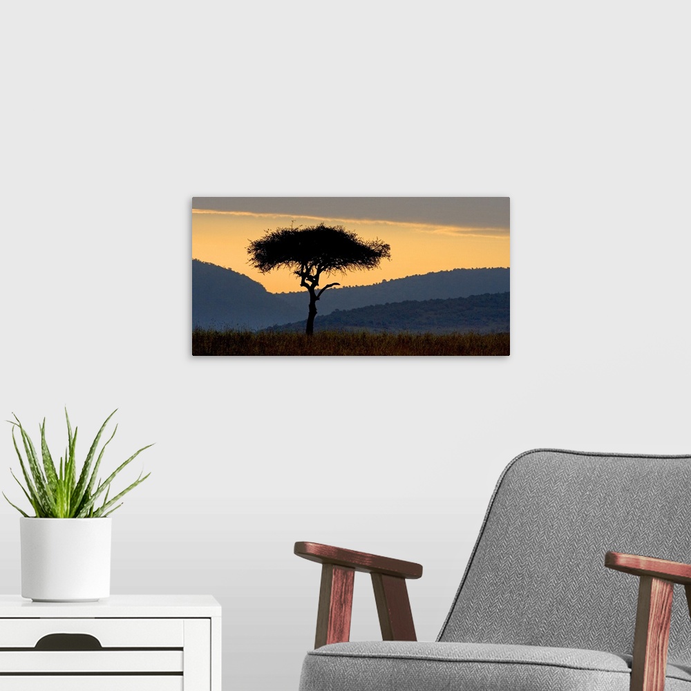 A modern room featuring Lone Tree