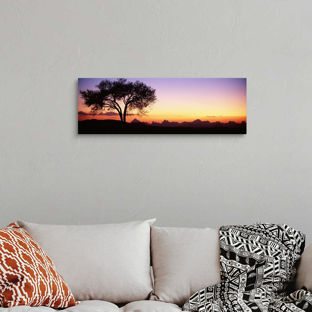 A bohemian room featuring Panoramic photograph of tree silhouette with mountains in the distance at sunset.