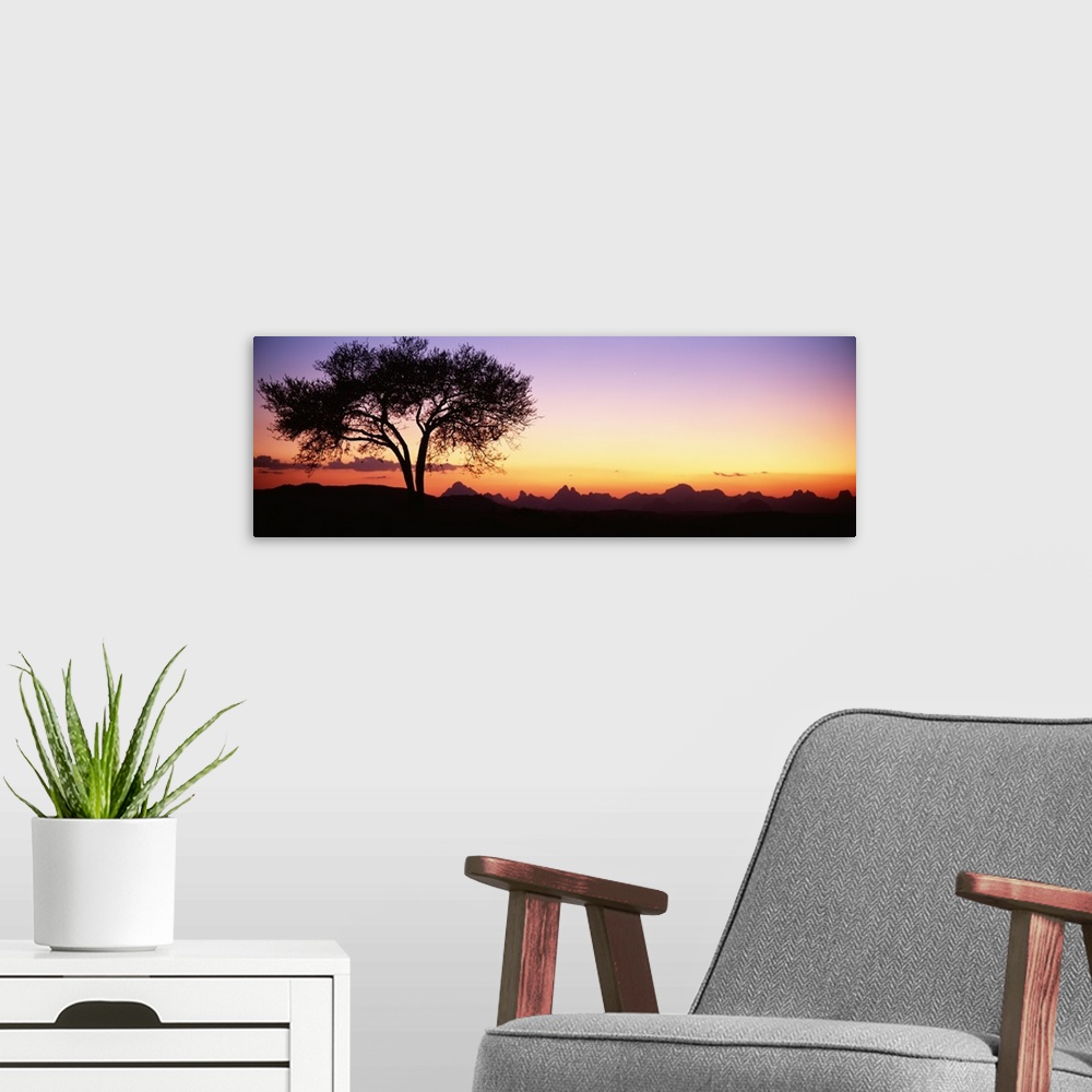 A modern room featuring Panoramic photograph of tree silhouette with mountains in the distance at sunset.