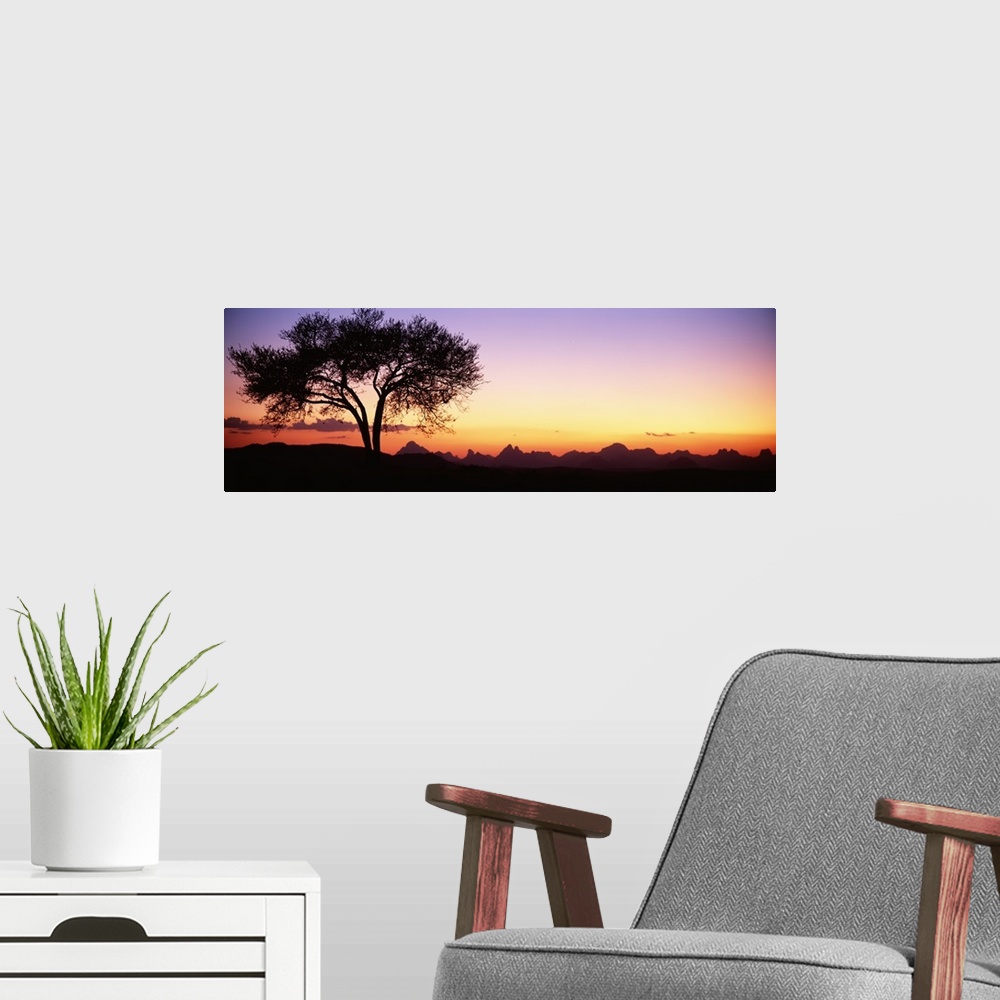 A modern room featuring Panoramic photograph of tree silhouette with mountains in the distance at sunset.