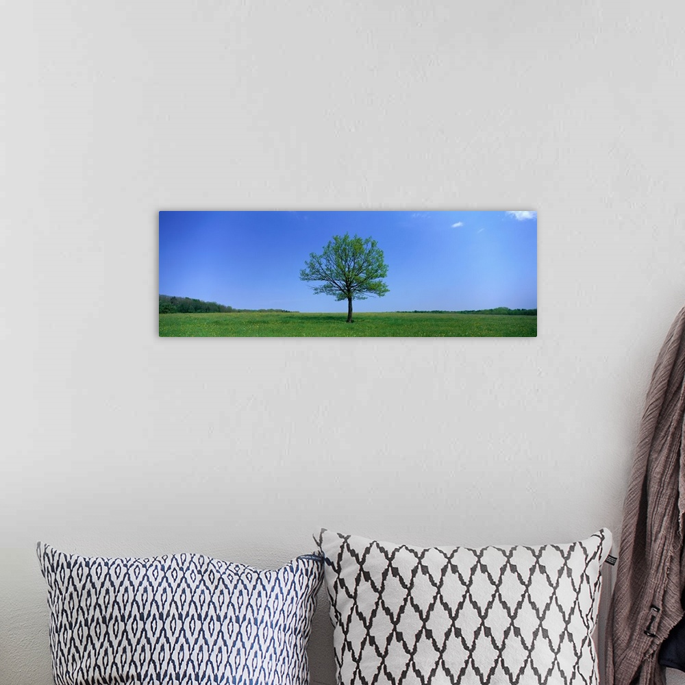 A bohemian room featuring Lone Tree in Pasture near Dijon France