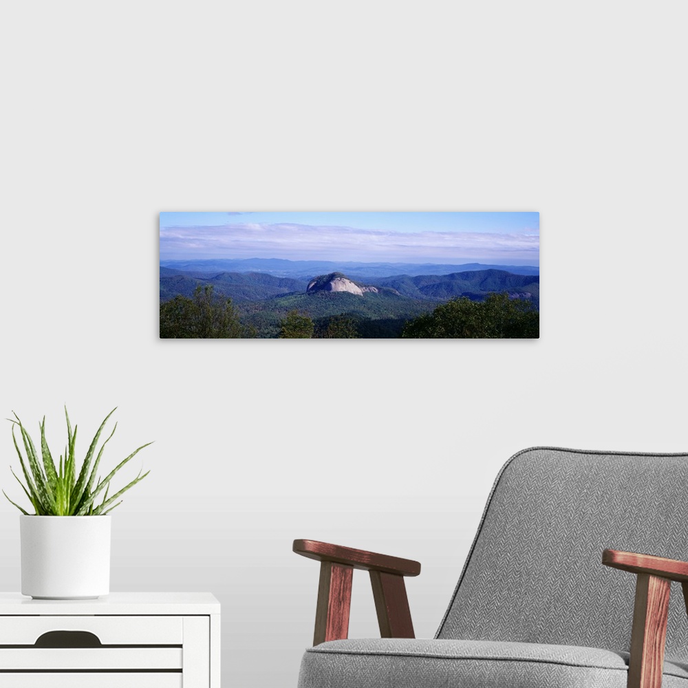 A modern room featuring Panoramic, high angle photograph of treetops in front of a distant Looking Glass Rock, surrounded...