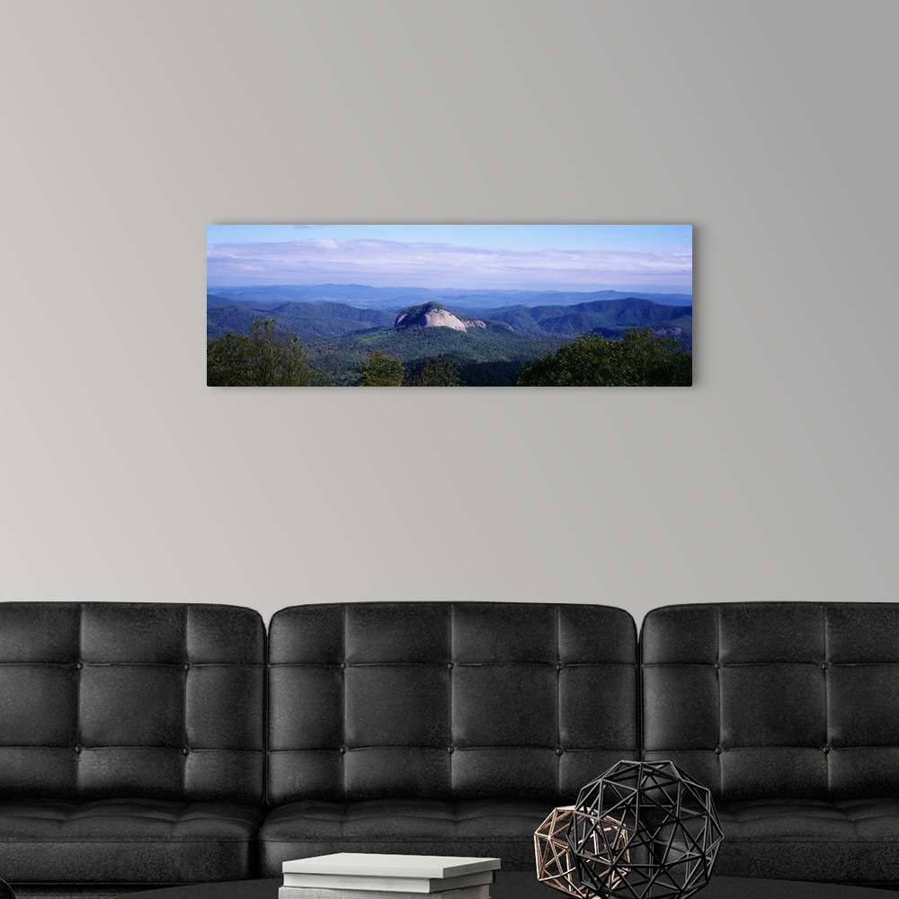 A modern room featuring Panoramic, high angle photograph of treetops in front of a distant Looking Glass Rock, surrounded...