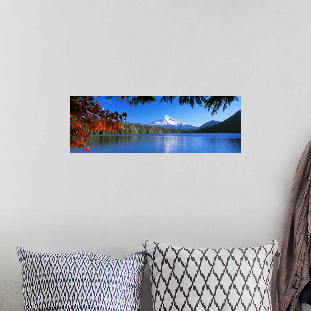 A bohemian room featuring In the wilderness a mountain peak reflects in a lake surrounded by trees on this panoramic wall art.