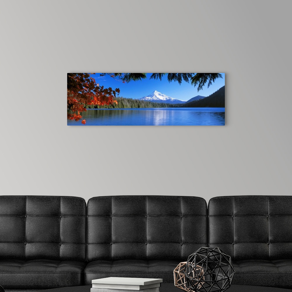 A modern room featuring In the wilderness a mountain peak reflects in a lake surrounded by trees on this panoramic wall art.