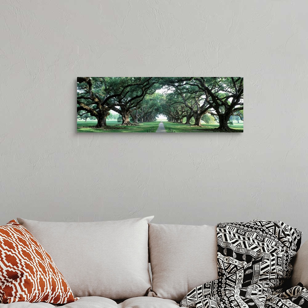 A bohemian room featuring This panoramic wall art is a walkway through a park down an avenue of old deciduous trees.