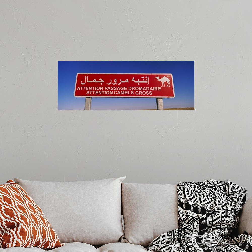 A bohemian room featuring Low angle view of a camel crossing signboard, Douz, Tunisia