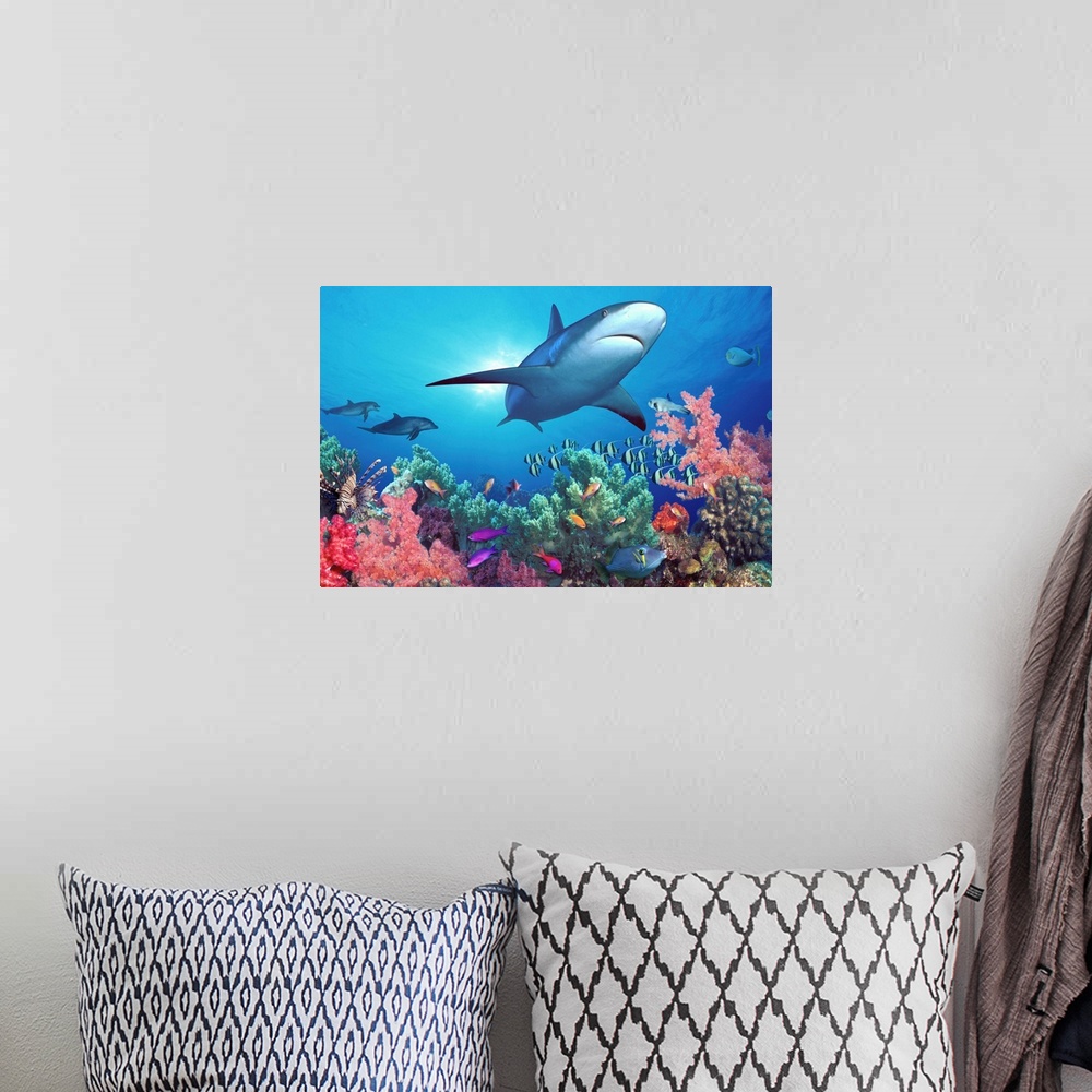 A bohemian room featuring This wall art photograph show aquatic animals swimming through digital composite of marine landsc...