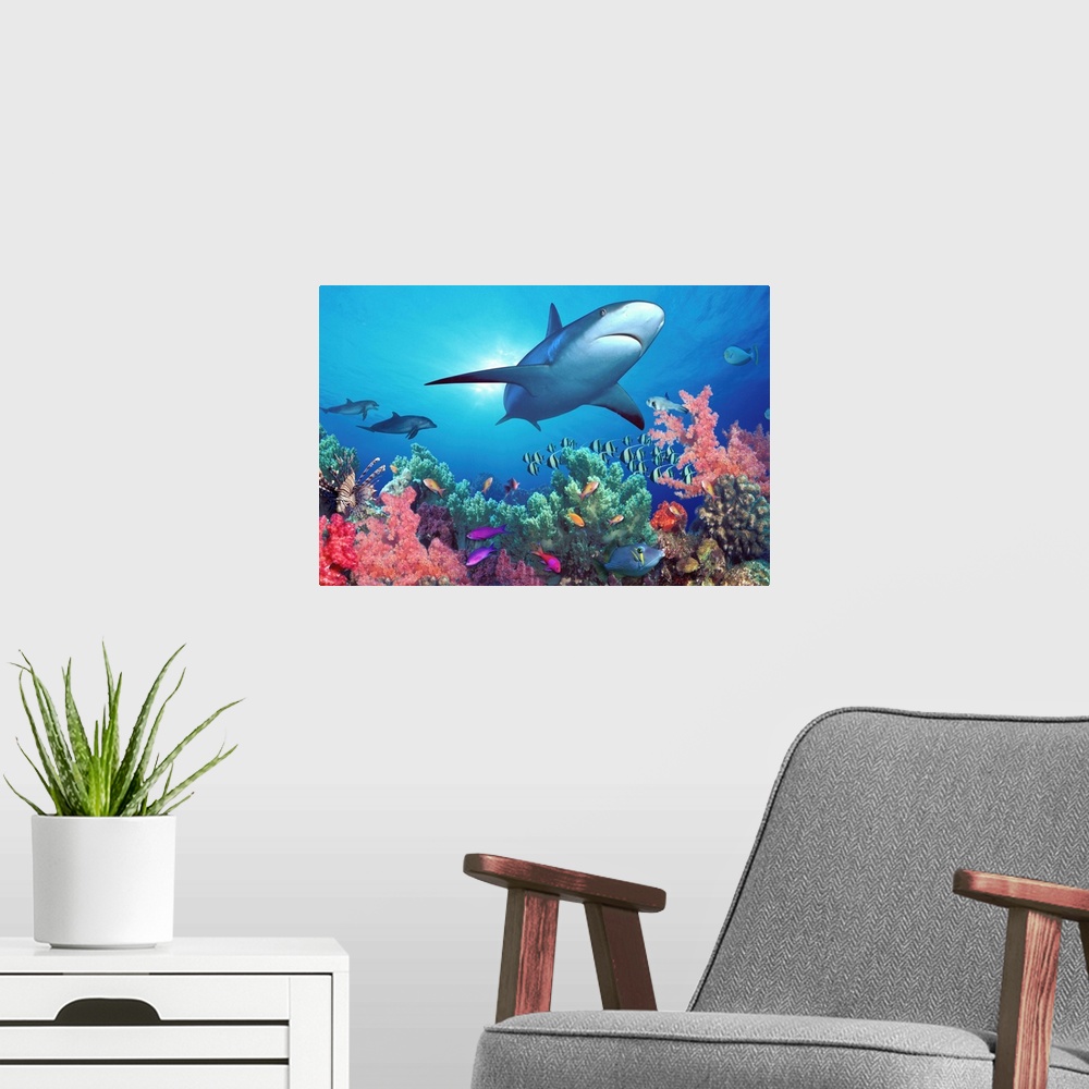 A modern room featuring This wall art photograph show aquatic animals swimming through digital composite of marine landsc...