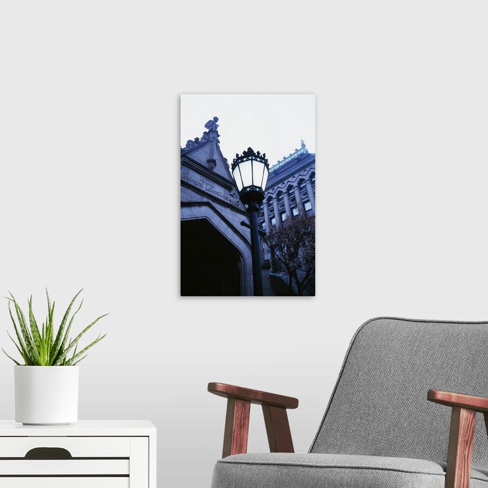 A modern room featuring Low angle view of lamppost with buildings in the background, University of Chicago, Chicago, Illi...