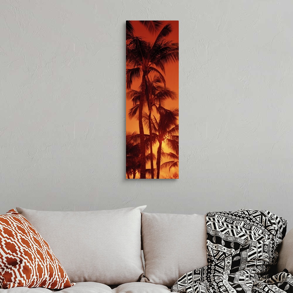 A bohemian room featuring Giant, vertical photograph looking up at a row of tall palm trees against a fiery sunset at Kalap...